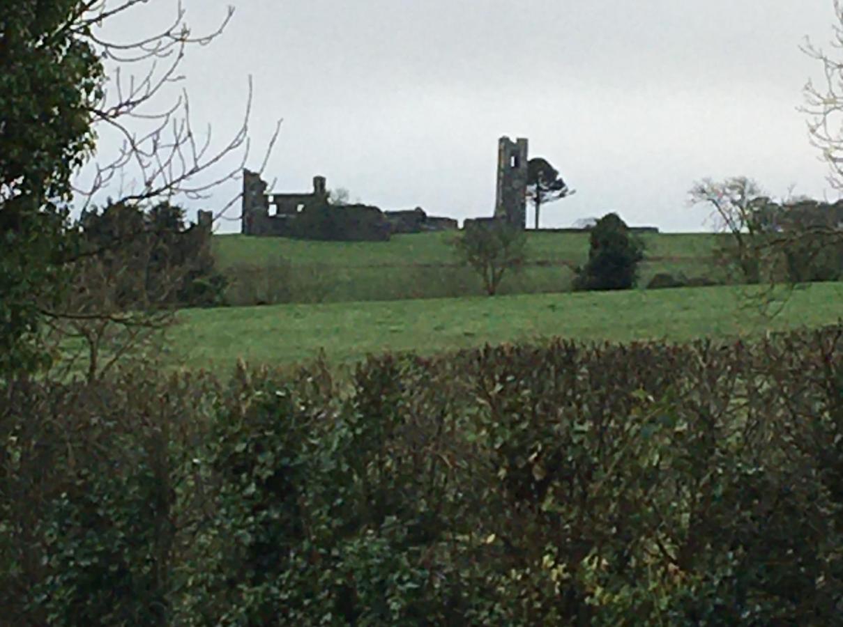 Grangegeeth Inn Slane Exterior foto